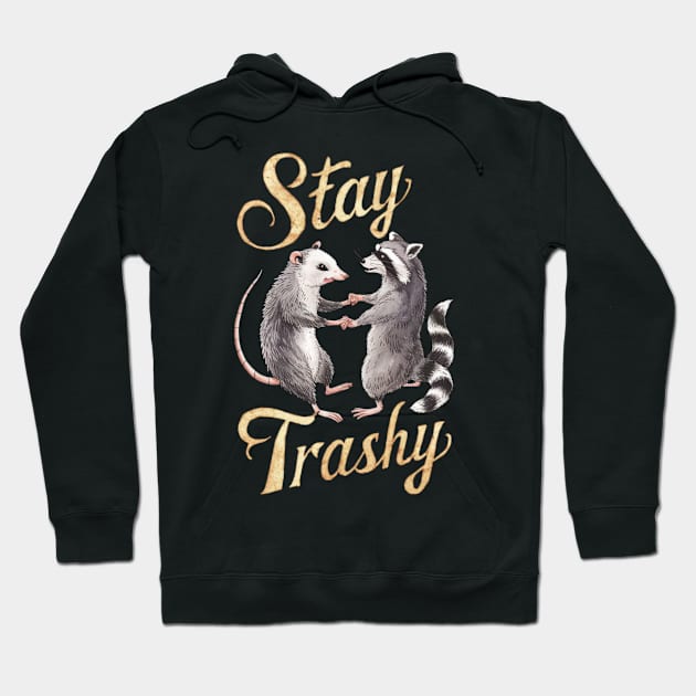 Stay Trashy Funny Possum And Raccoon Meme Lovers Hoodie by Lovelydesignstore